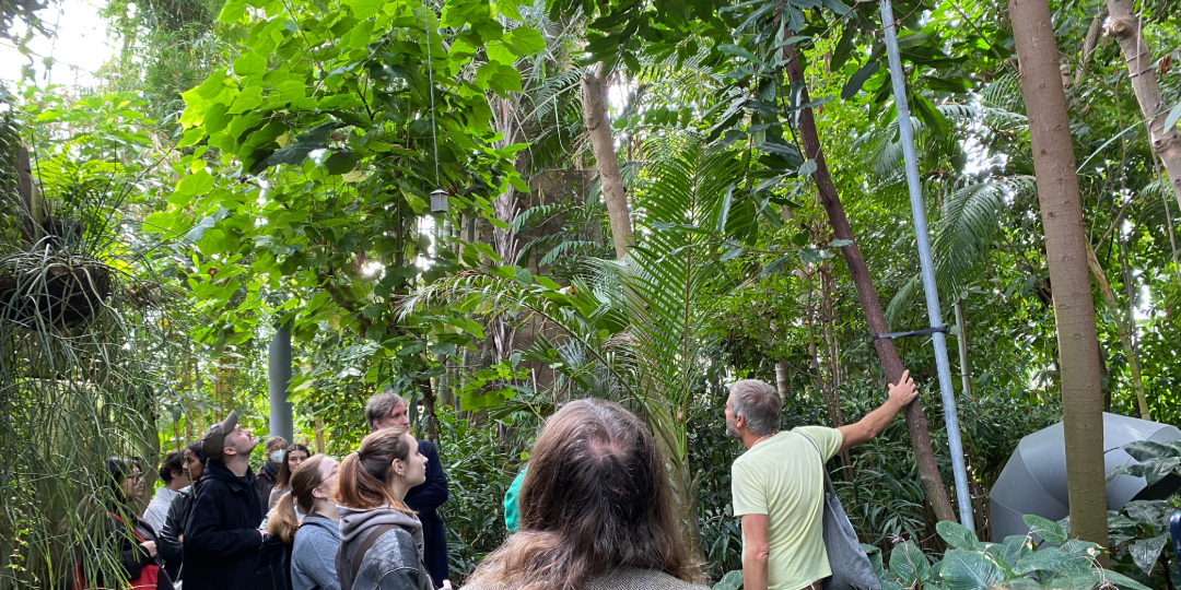 Studierende im Tropenhaus des Botanischen Gartens Berlin bei der Erkundung von präsentierten Pflanzen mit kolonialem Kontext. © HTW Berlin/ Tobias Nettke Studierende im Tropenhaus des Botanischen Gartens Berlin bei der Erkundung von präsentierten Pflanzen mit kolonialem Kontext. © HTW Berlin / Tobias Nettke