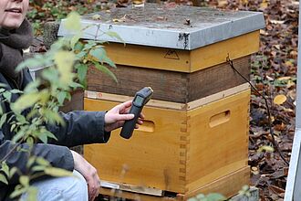 Mit einem Infrarot-Thermometer erforschen die Schüler*innen das Mikroklima im Öko-Garten des FEZ . © HTW Berlin/Daniel Puster