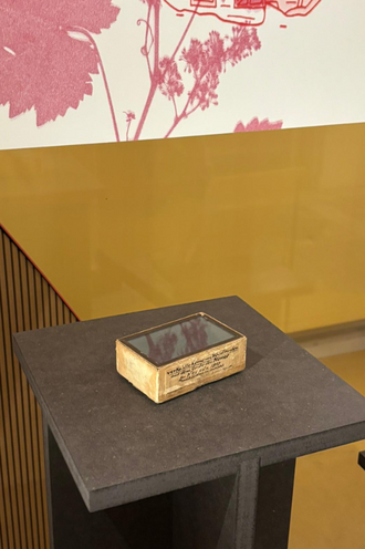 Objekt des Monats: Ansicht im Ephraim-Palais. © HTW Berlin / Maria Pavlova