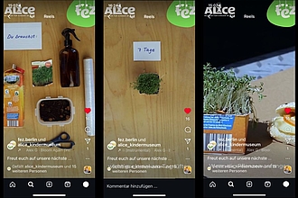 Screenshot Instagram Reel Nr. 1. © HTW Berlin/ Green-Planet-Team